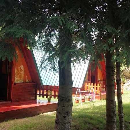 Villa Etno Selo -Sapat- Savnik Exterior foto